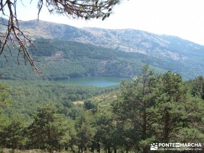 Cordel del Puerto de la Morcuera (Matutina);rutas en madrid senderismo belen buitrago